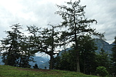 p1005537.jpg
