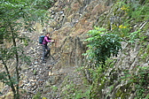 p1005539.jpg