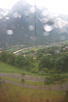 p1005542.jpg