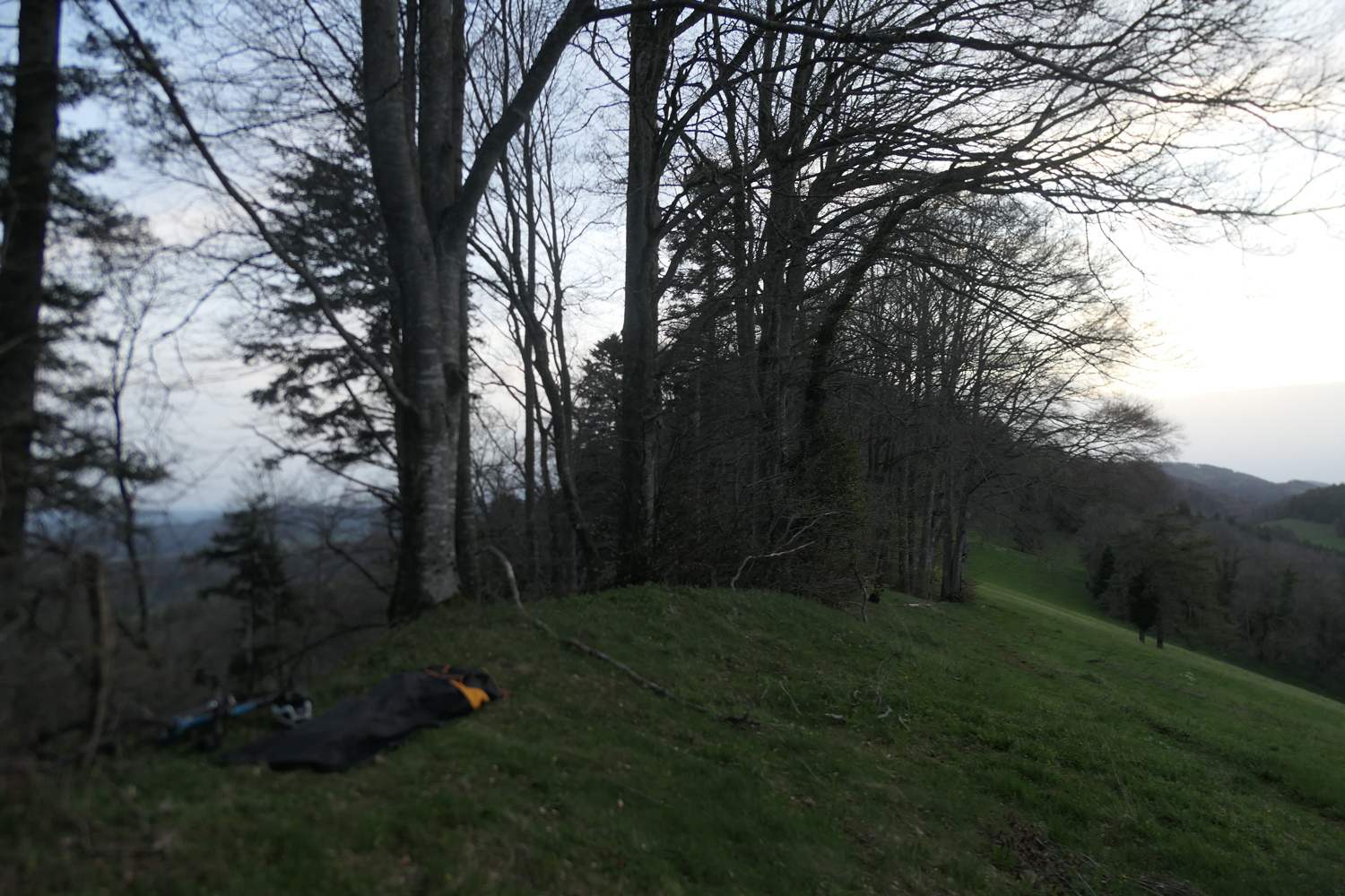 p1080585.jpg