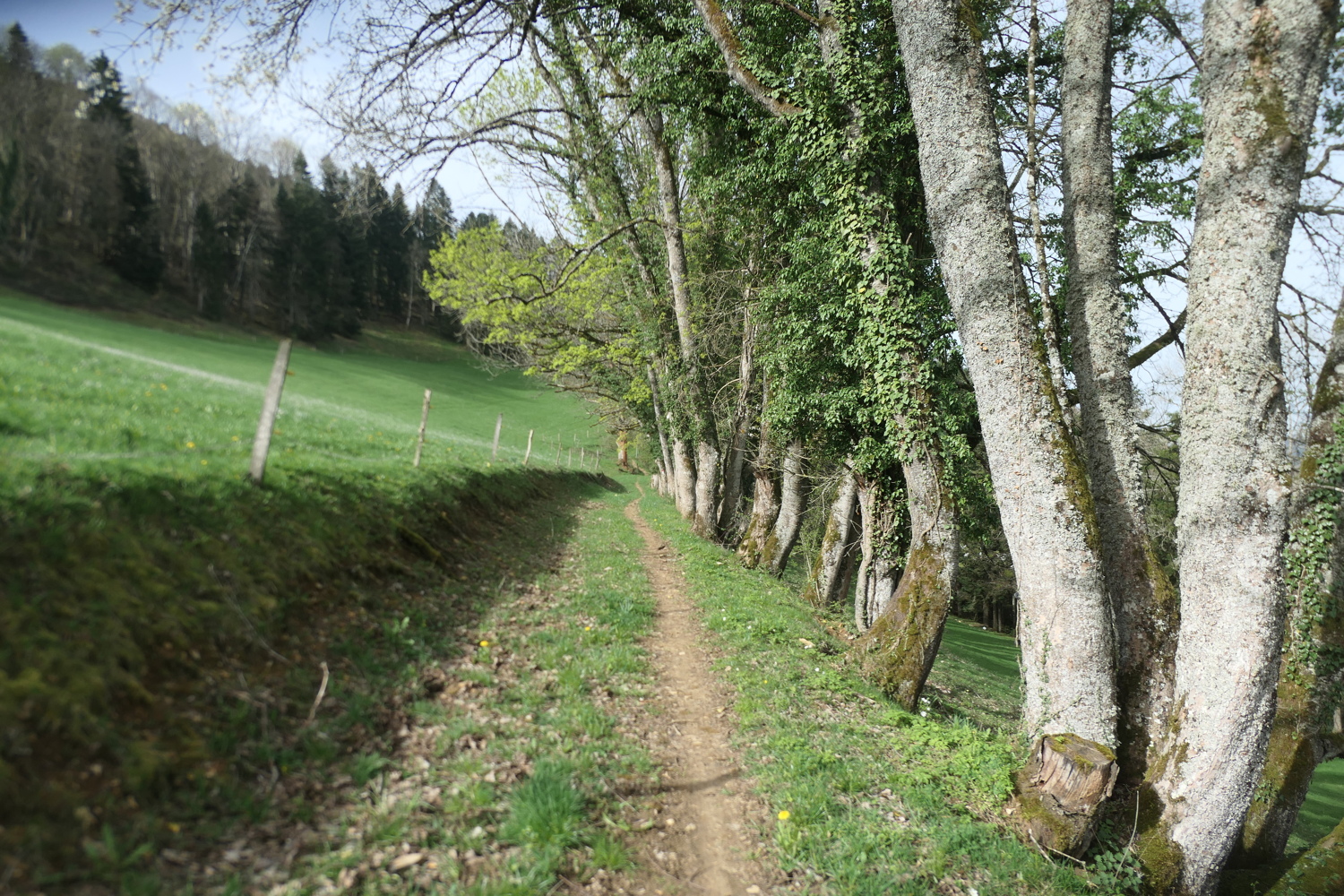 p1080591.jpg
