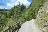 p1004698.jpg