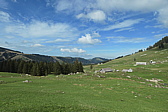 p1004703.jpg