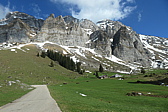 p1004707.jpg