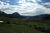 p1004708.jpg