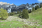 p1004712.jpg
