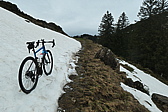 p1004716.jpg