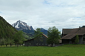 p1004722.jpg