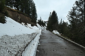 p1004726.jpg