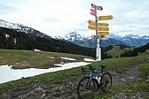 p1004727.jpg