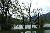 p1004733.jpg