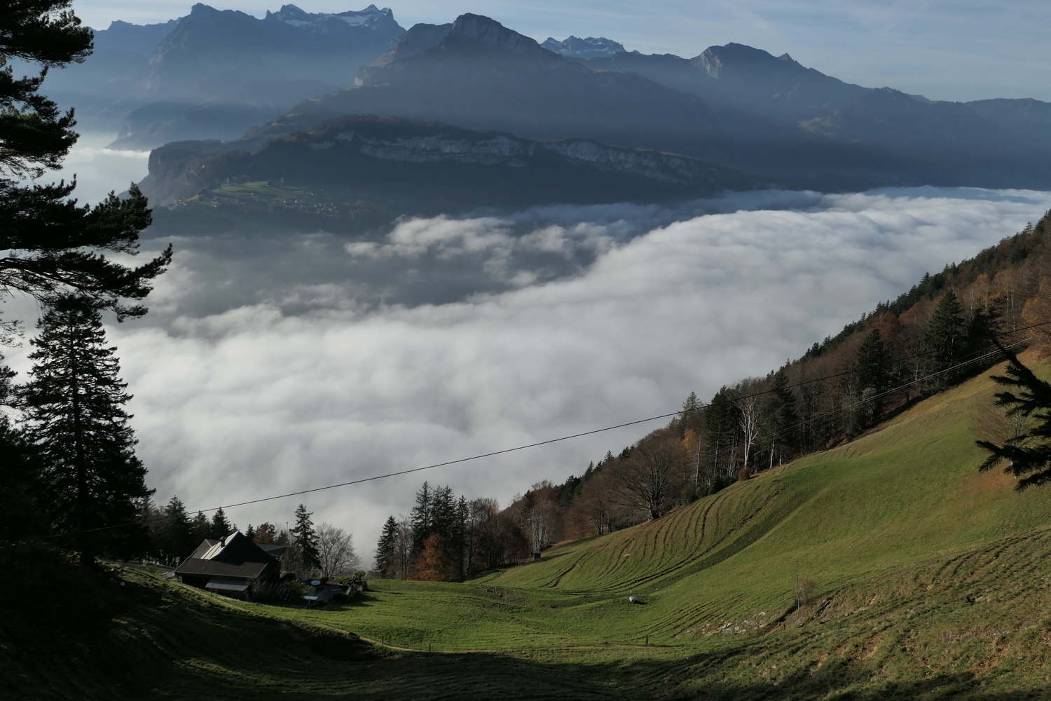 p1010007.jpg