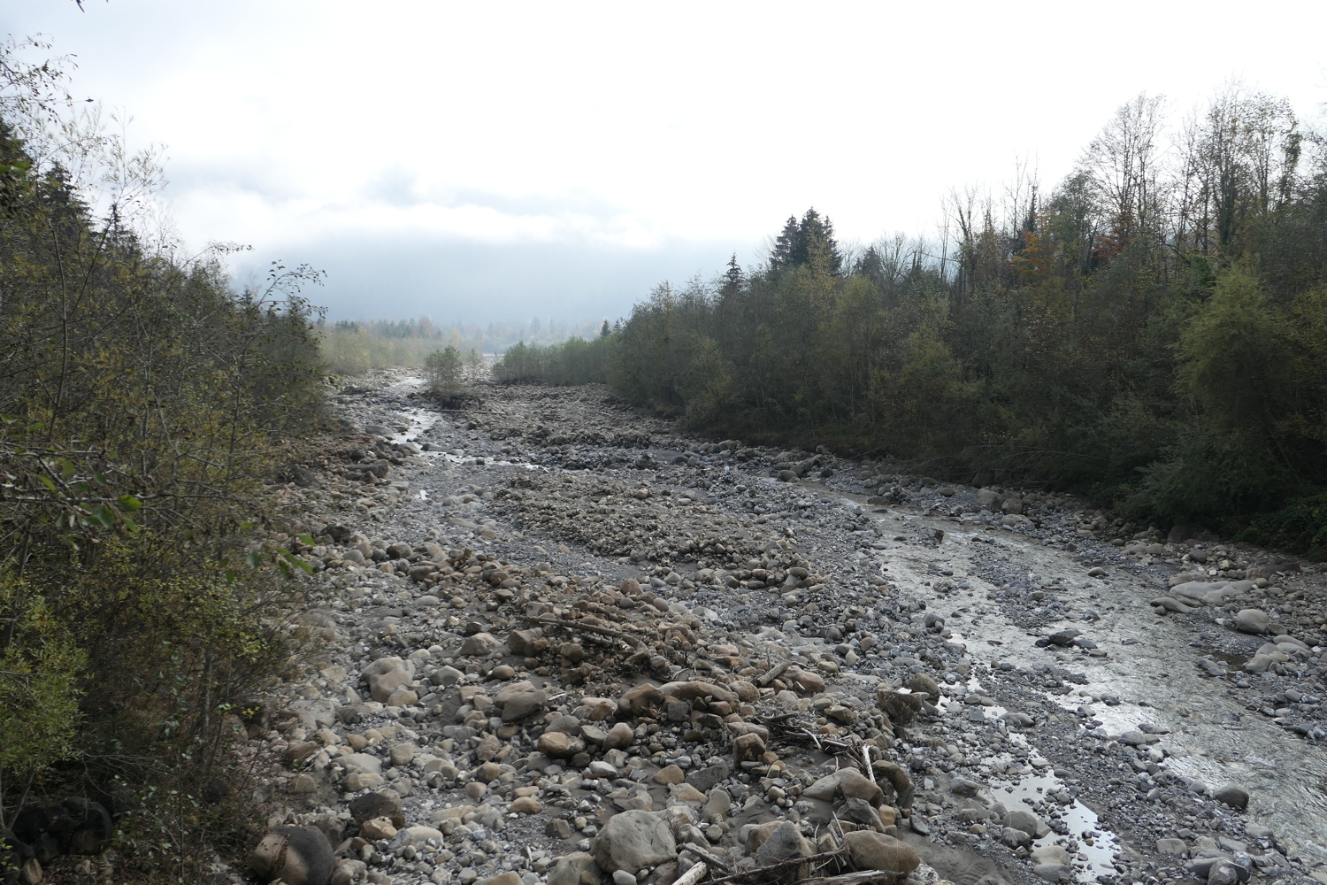 p1010019.jpg