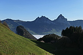 p1010006.jpg
