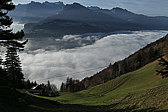 p1010007.jpg