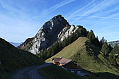 p1010009.jpg