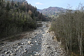 p1010020.jpg