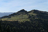 p1010028.jpg
