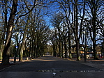 img_3886.jpeg