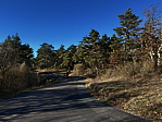 img_3962.jpeg