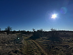 img_4008.jpeg