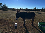 img_4066.jpeg