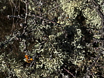 img_4073.jpeg
