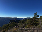 img_4075.jpeg