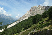 p1005552.jpg