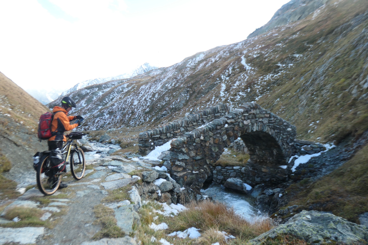 p1005806.jpg