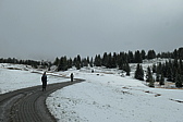p1005775.jpg