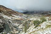 p1005790.jpg