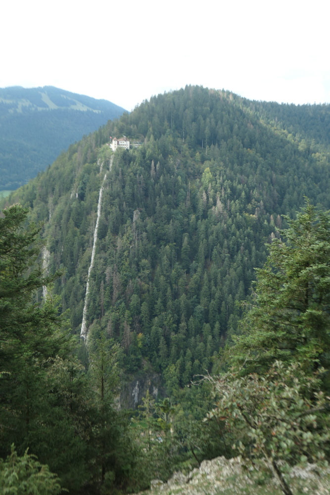 p1005649.jpg