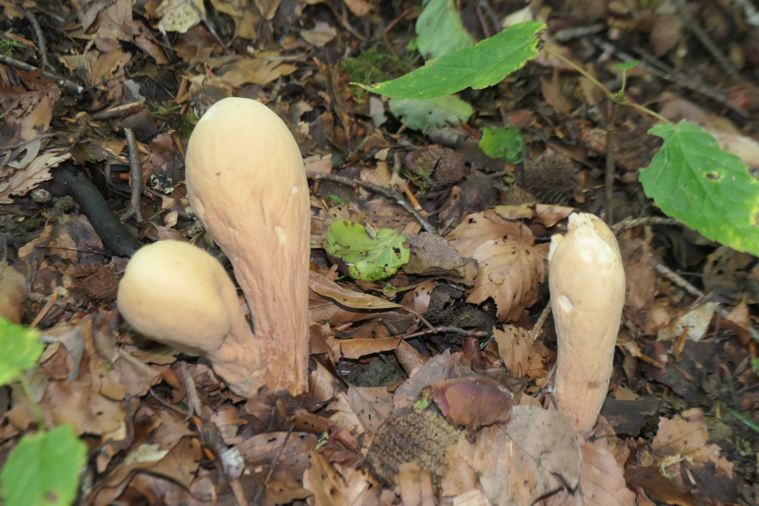 p1005749.jpg