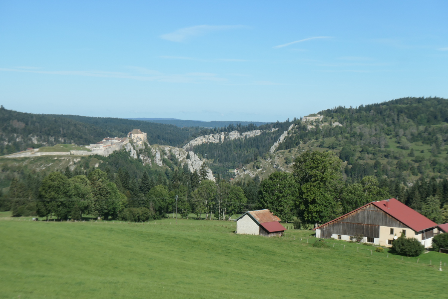 p1005754.jpg