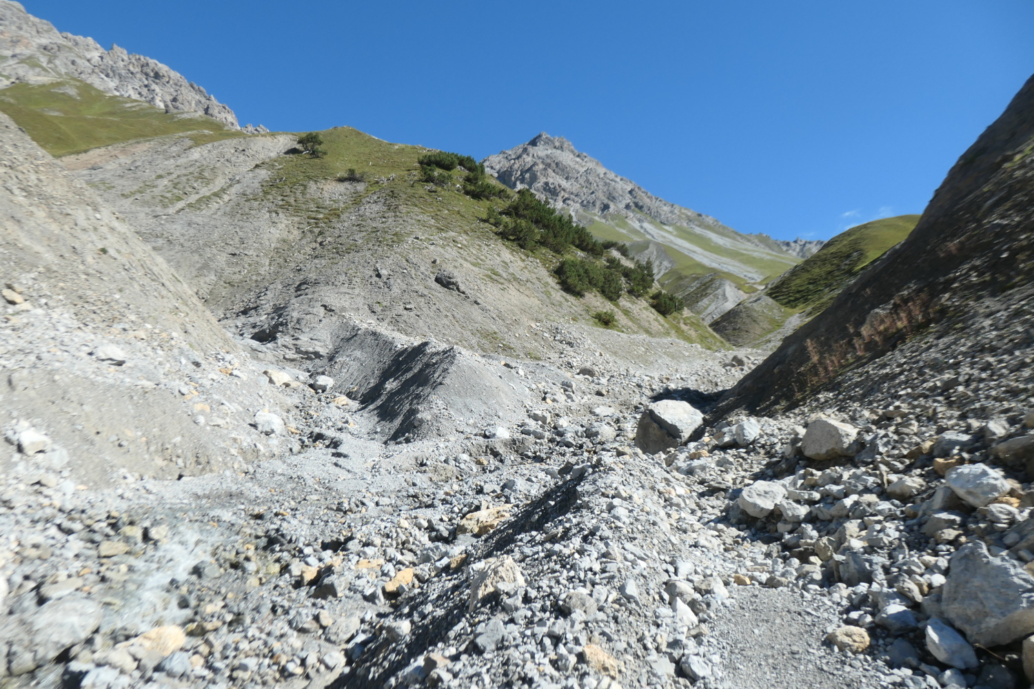 p1005600.jpg