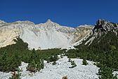 p1005599.jpg