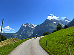 img_3540.jpeg