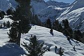 p1080486.jpg