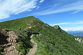 p1005384.jpg