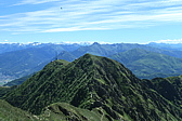 p1005386.jpg