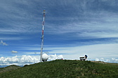 p1005395.jpg