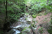 p1005403.jpg