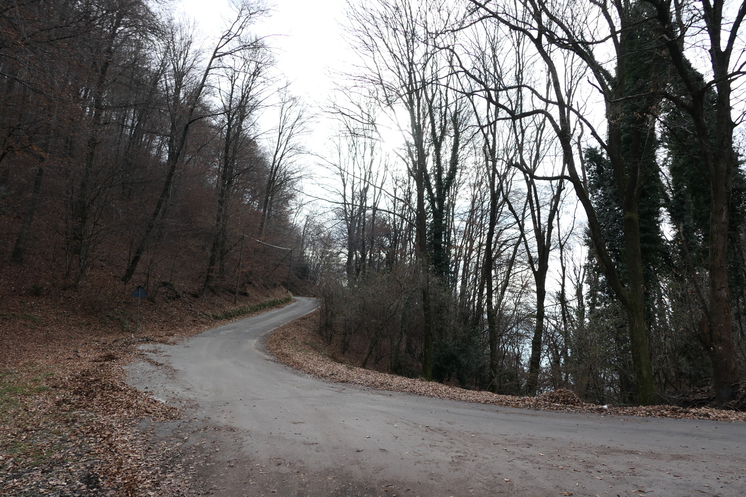 p1010125.jpg