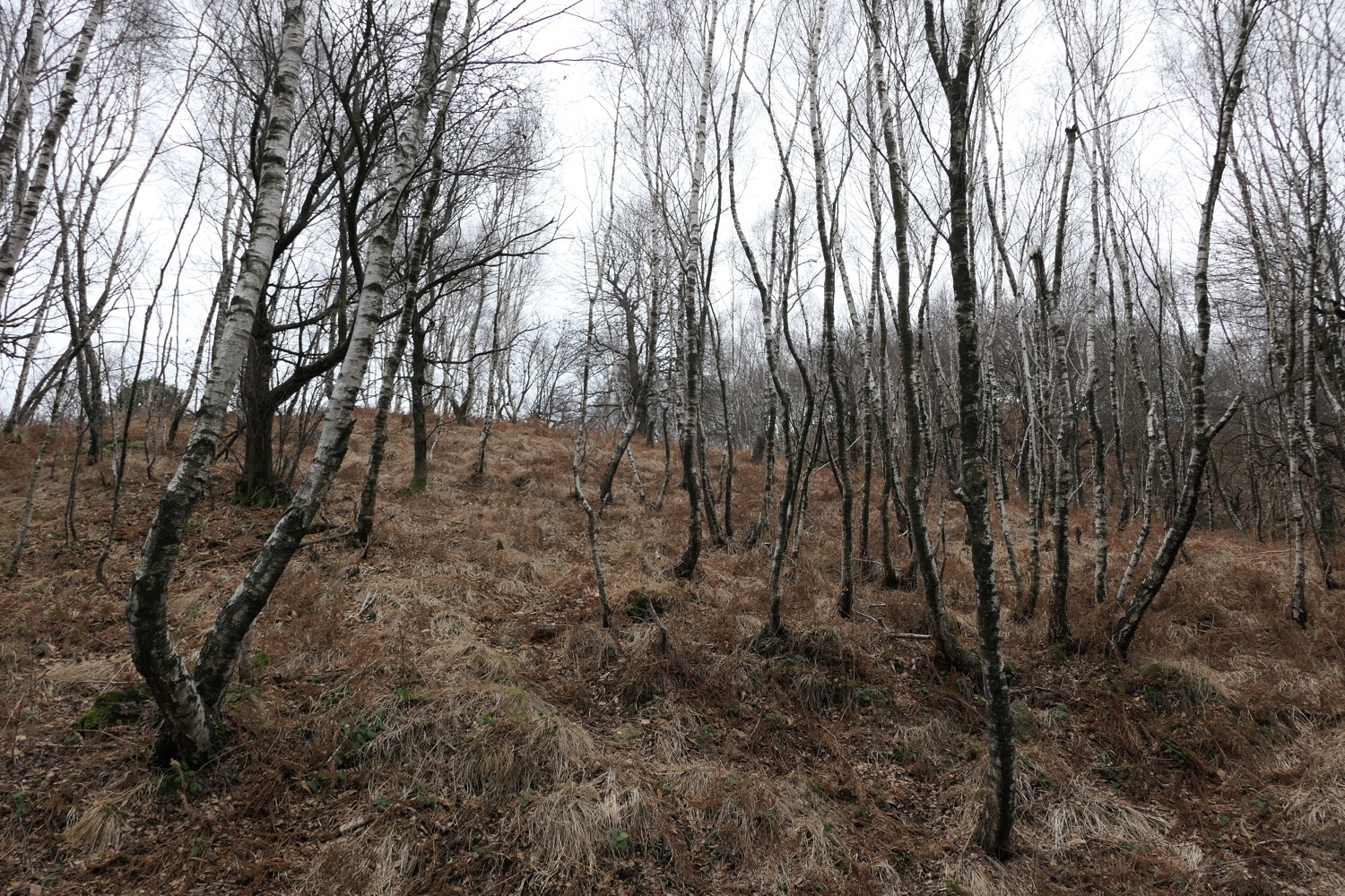 p1010149.jpg