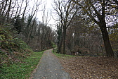 p1010121.jpg