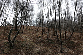 p1010149.jpg