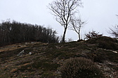 p1010151.jpg