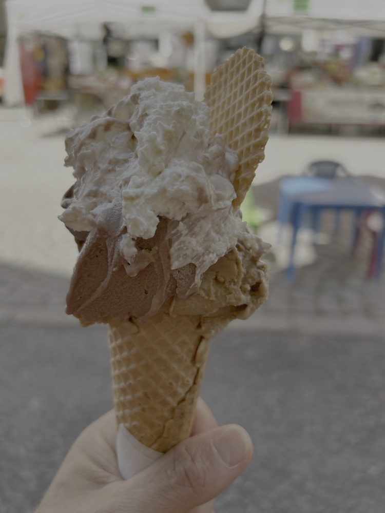 p1080812a.jpeg