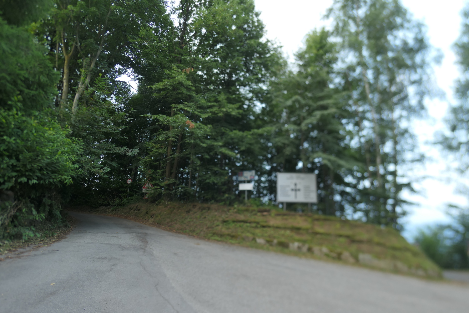 p1080818.jpg